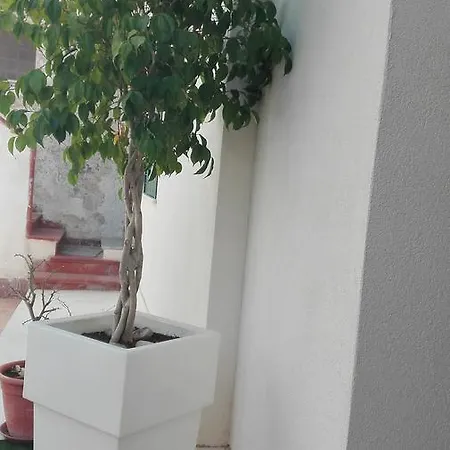 Antico Cortile